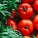 recetas con tomate